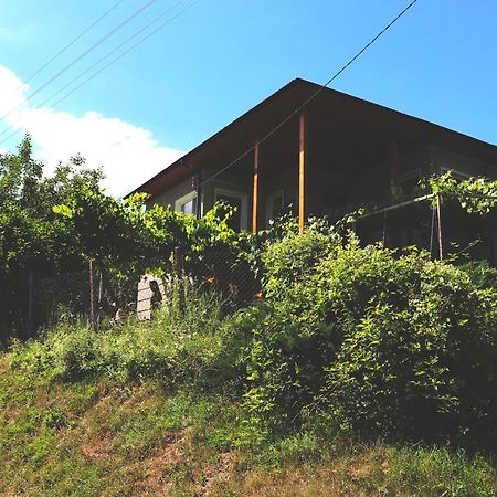 Radevtsi Вила Ирена מראה חיצוני תמונה