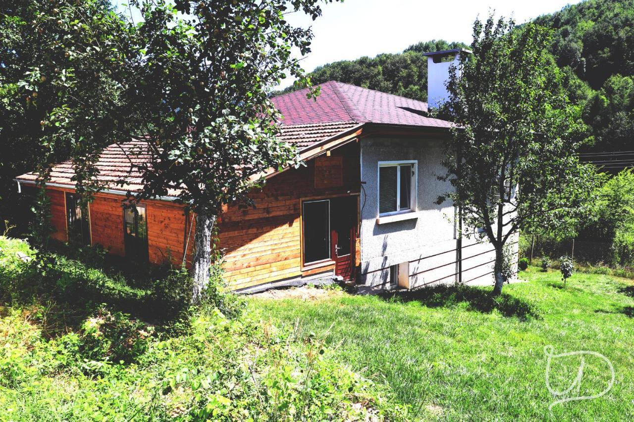 Radevtsi Вила Ирена מראה חיצוני תמונה
