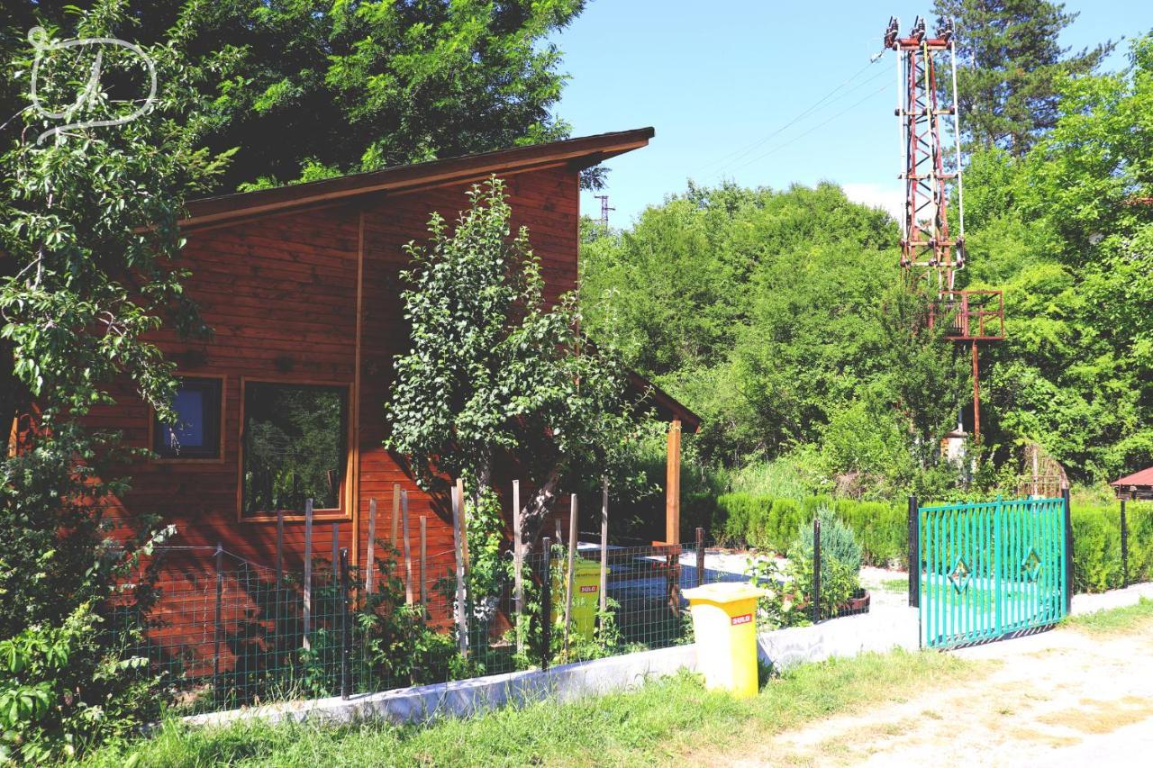 Radevtsi Вила Ирена מראה חיצוני תמונה